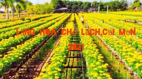 Quần dáng cong đang gây sốt với thiết kế độc đáo và tính ứng dụng cao, giúp tạo hiệu_Video quảng cáo trên Facebook