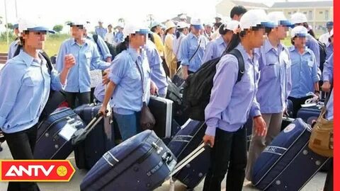 Video ngắn – Giải pháp truyền thông thông minh cho doanh nghiệp nhỏ_Tiếp thị nội dung là gì