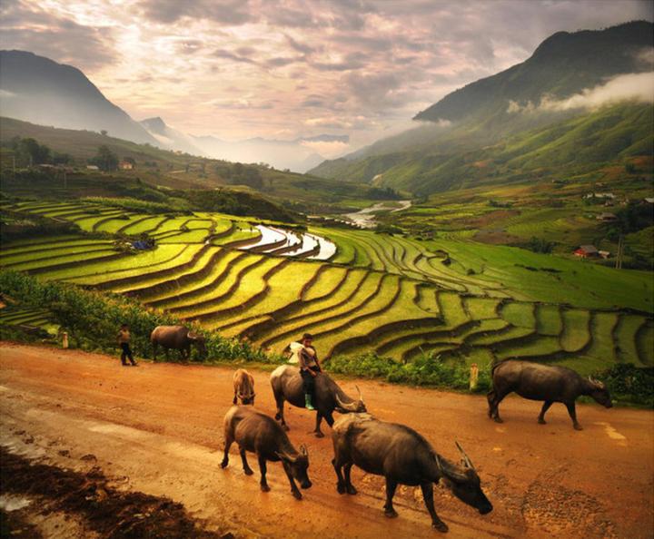Từ Em Xinh trẻ nhất show Say Hi đến chiến lược content: Hotspot Matrix chia sẻ