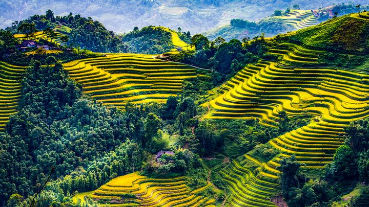 Xu hướng Loài cá kỳ lạ nhất châu Phi:: Hotspot Matrix tiết lộ bí quyết video viral