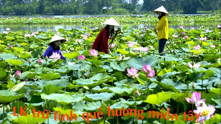 Xu hướng Phụ huynh “bắt trend”: Chọn: Hotspot Matrix tiết lộ bí quyết video viral