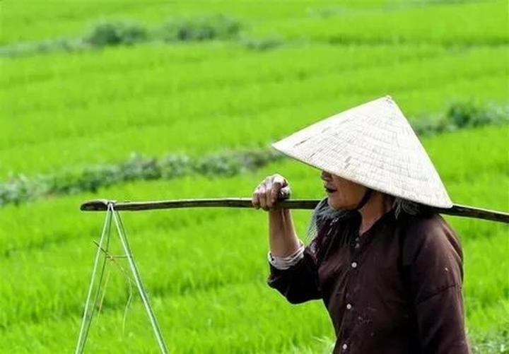 Xu hướng 6/6 năm nay trôi qua trong: Hotspot Matrix tiết lộ bí quyết video viral